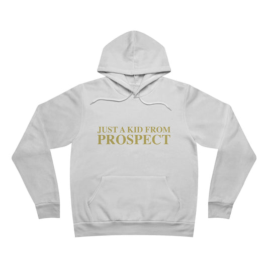 Just a kid from Prospect Unisex Sponge Fleece Pullover Hoodie