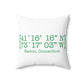 Easton Coordinates Spun Polyester Square Pillow