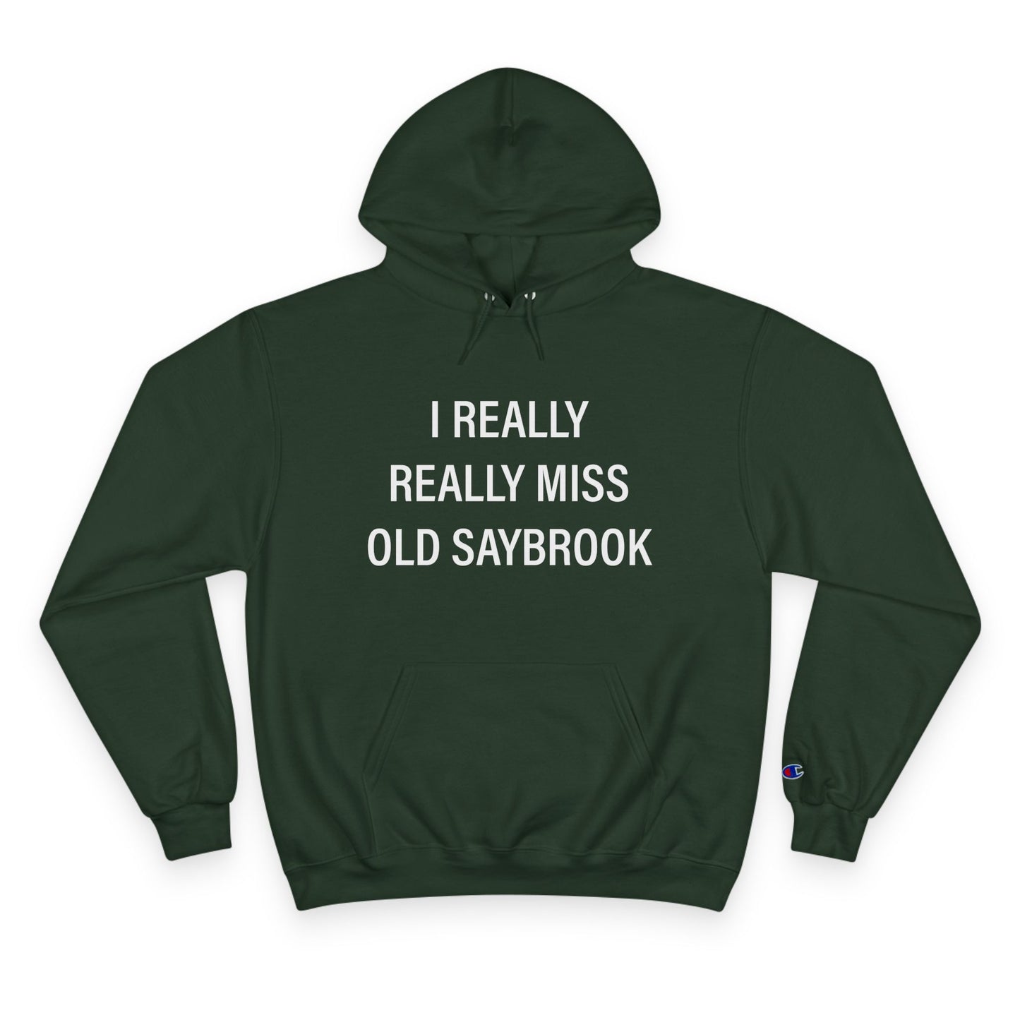I Really Really Miss Old Saybrook Champion Hoodie