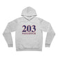 203 Naugatuck Red White & Blue Unisex Sponge Fleece Pullover Hoodie