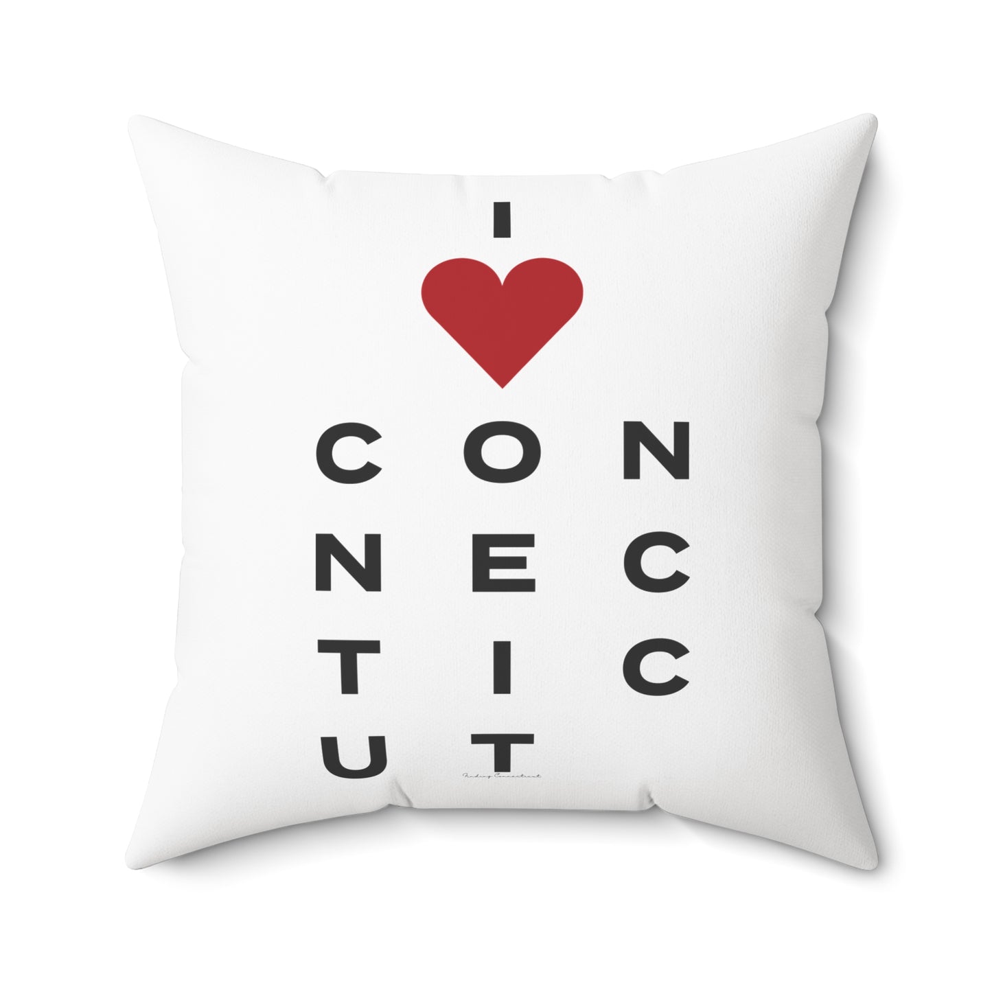 Connecticut Vision Spun Polyester Square Pillow