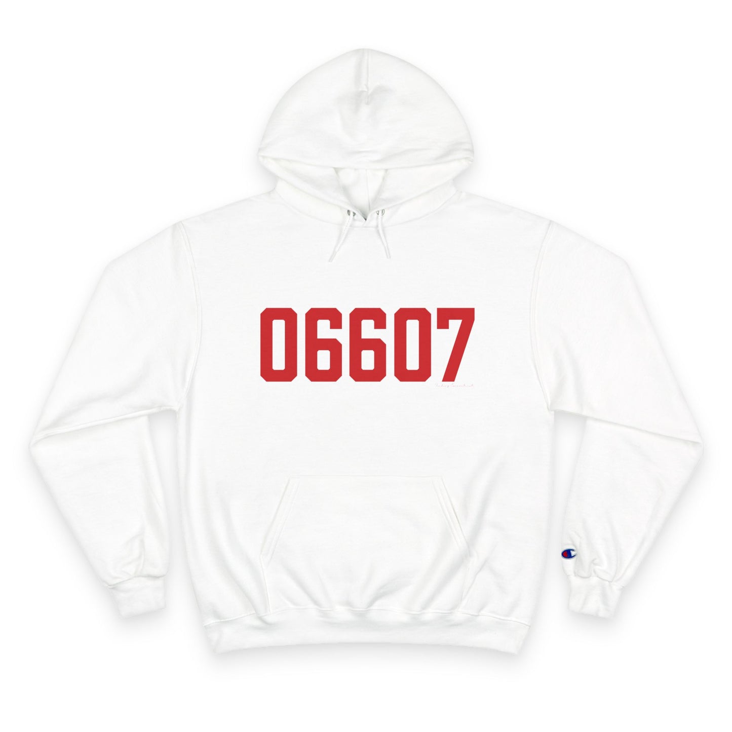 06607 Bridgeport Connecticut Zip Code Champion Hoodie Sweatshirt