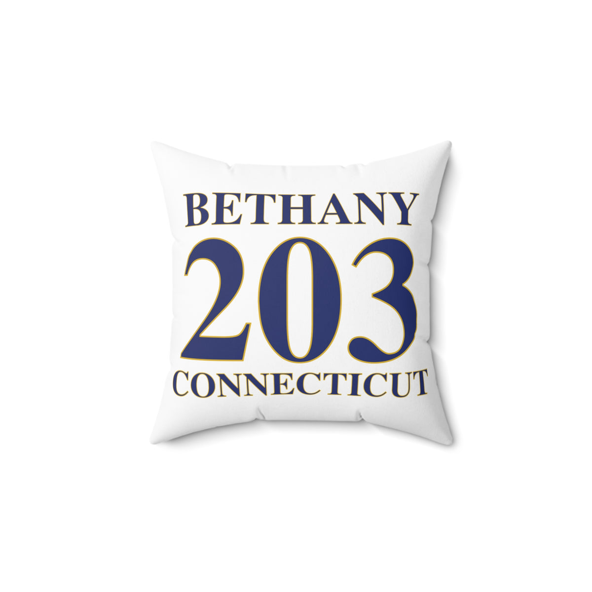 Bethany 203 Connecticut Polyester Square Pillow
