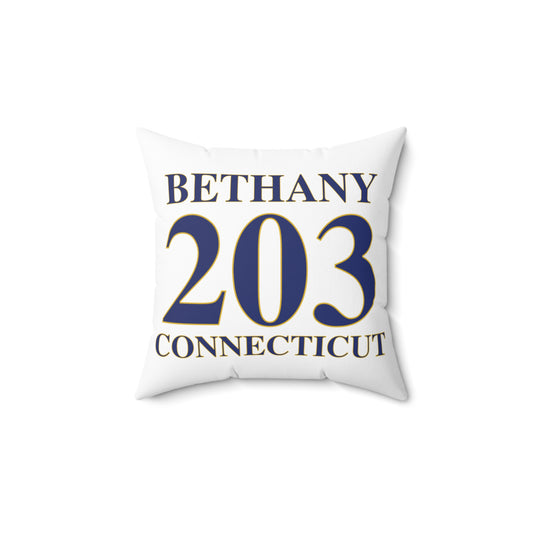 Bethany 203 Connecticut Polyester Square Pillow