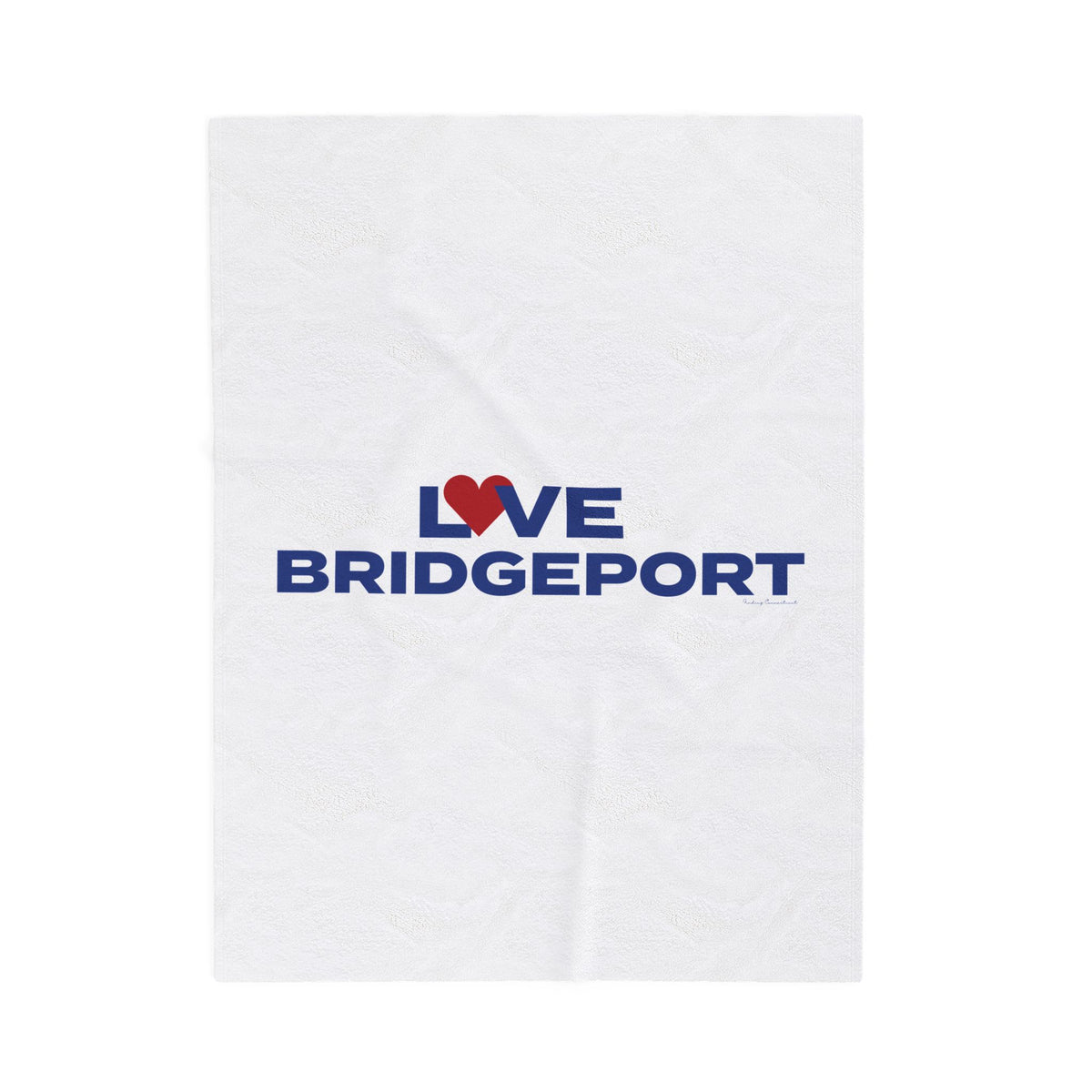 Love Bridgeport Velveteen Plush Blanket