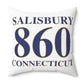 Salisbury 860 Connecticut Polyester Square Pillow