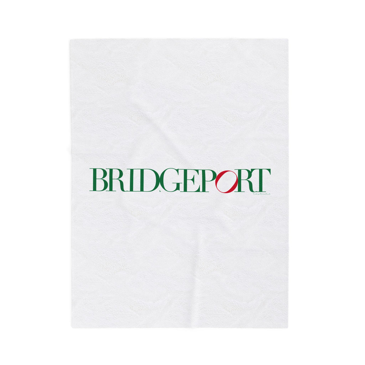 41 Tilt Bridgeport Velveteen Plush Blanket