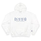 Newtown Coordinates Champion Hoodie Sweatshirt