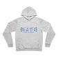 Darien Coordinates Unisex Sponge Fleece Pullover Hoodie