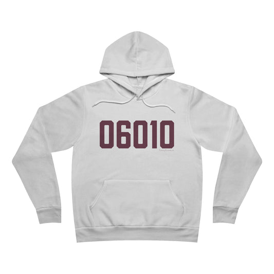 06010 Bristol Connecticut Zip Code Unisex Sponge Fleece Pullover Hoodie