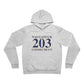 Naugatuck 203 Connecticut Unisex Sponge Fleece Pullover Hoodie