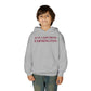 Just a kid from Farmington Youth Heavy Blend Hooded Sweatshirt
