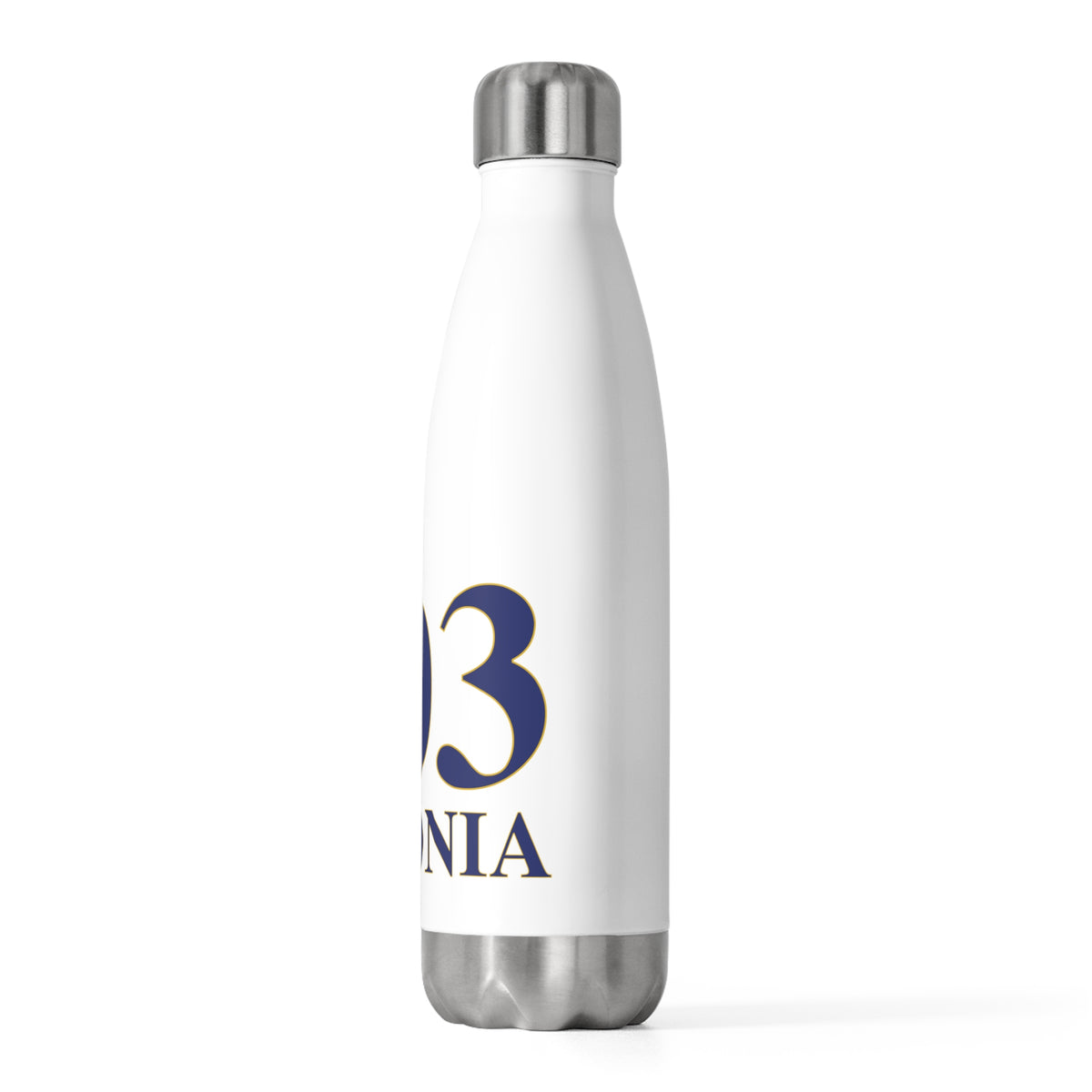 203 Ansonia 20 oz Insulated Bottle