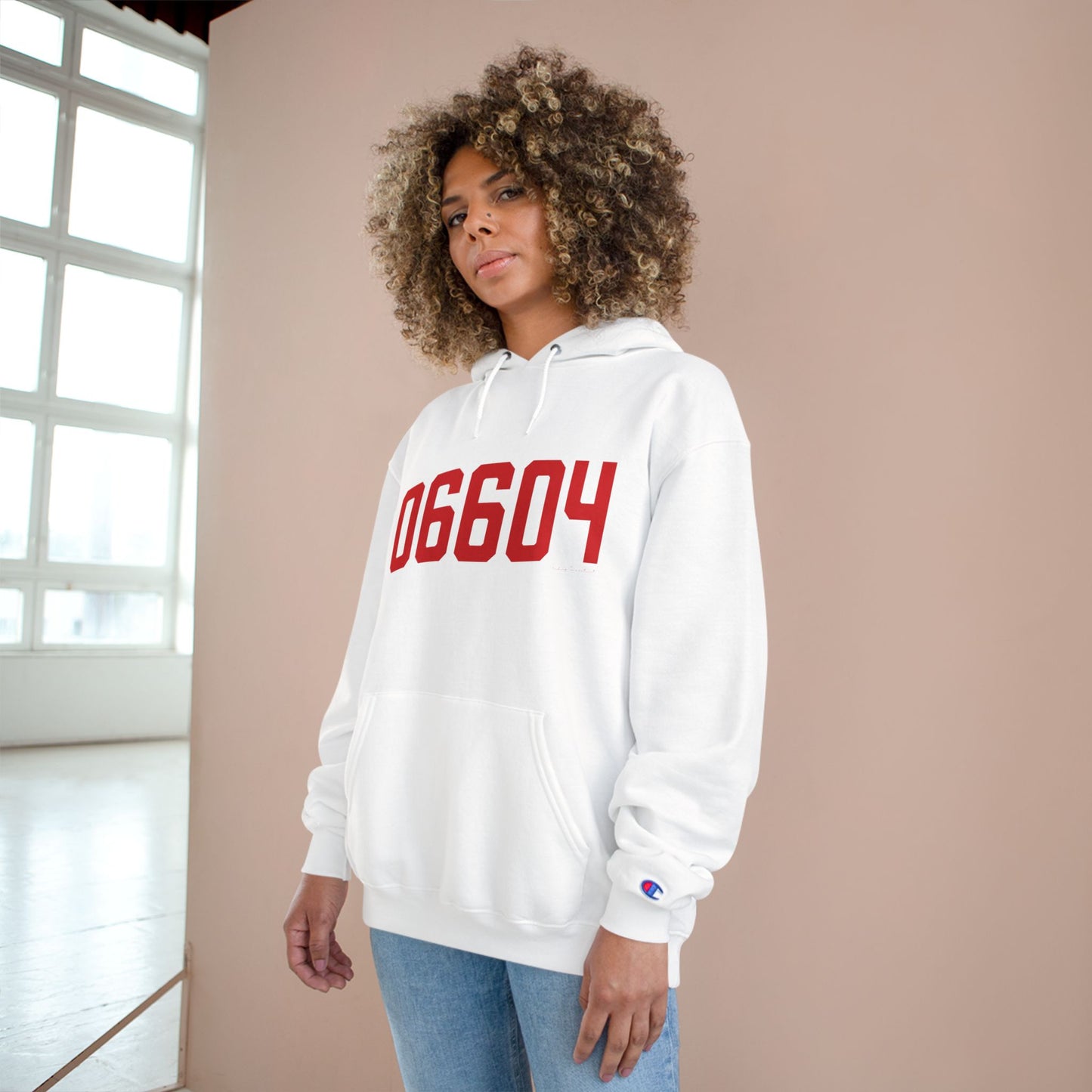 06604 Bridgeport Connecticut Zip Code Champion Hoodie Sweatshirt