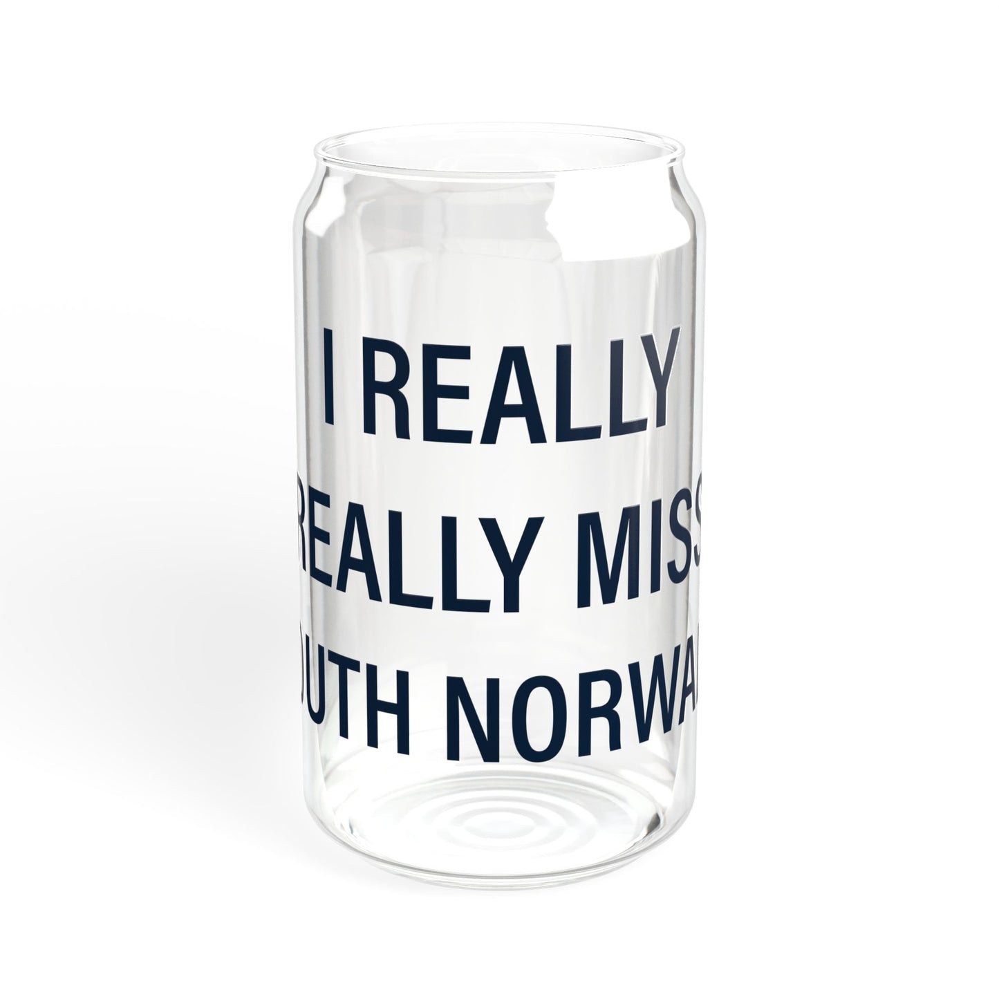 I Really Really Miss South Norwalk Sipper Glass, 16oz