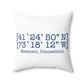 Newtown Coordinates Spun Polyester Square Pillow