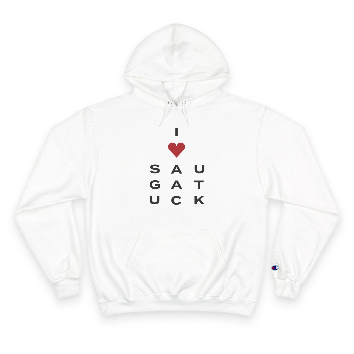 Saugatuck Vision Champion Hoodie