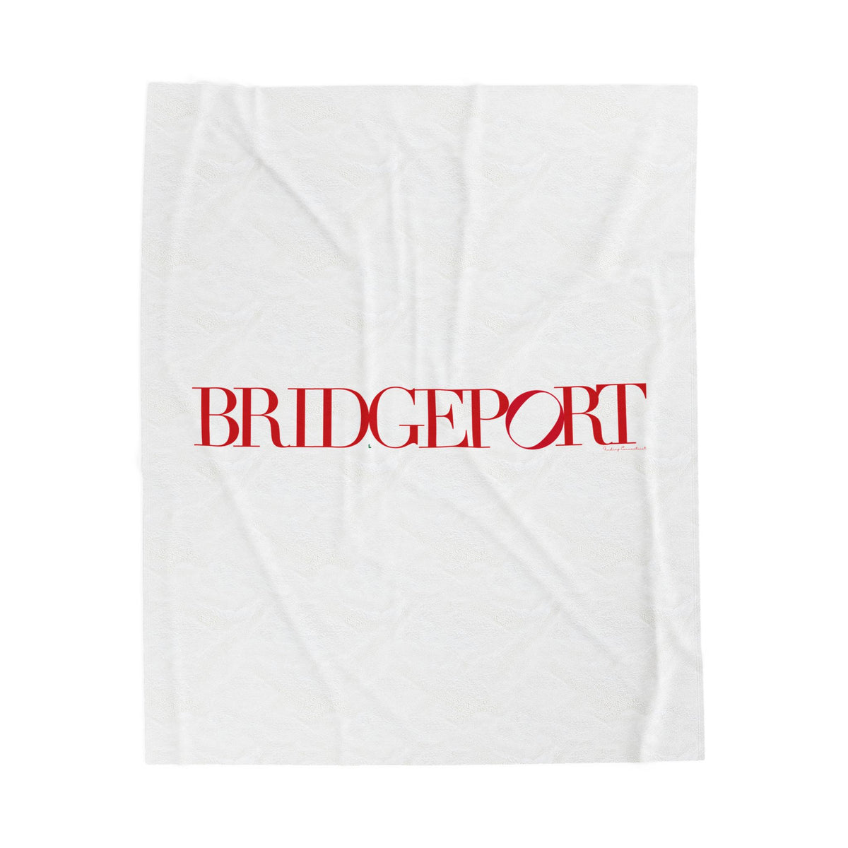 41 Tilt Bridgeport Velveteen Plush Blanket