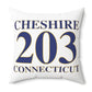 Cheshire 203 Connecticut Polyester Square Pillow