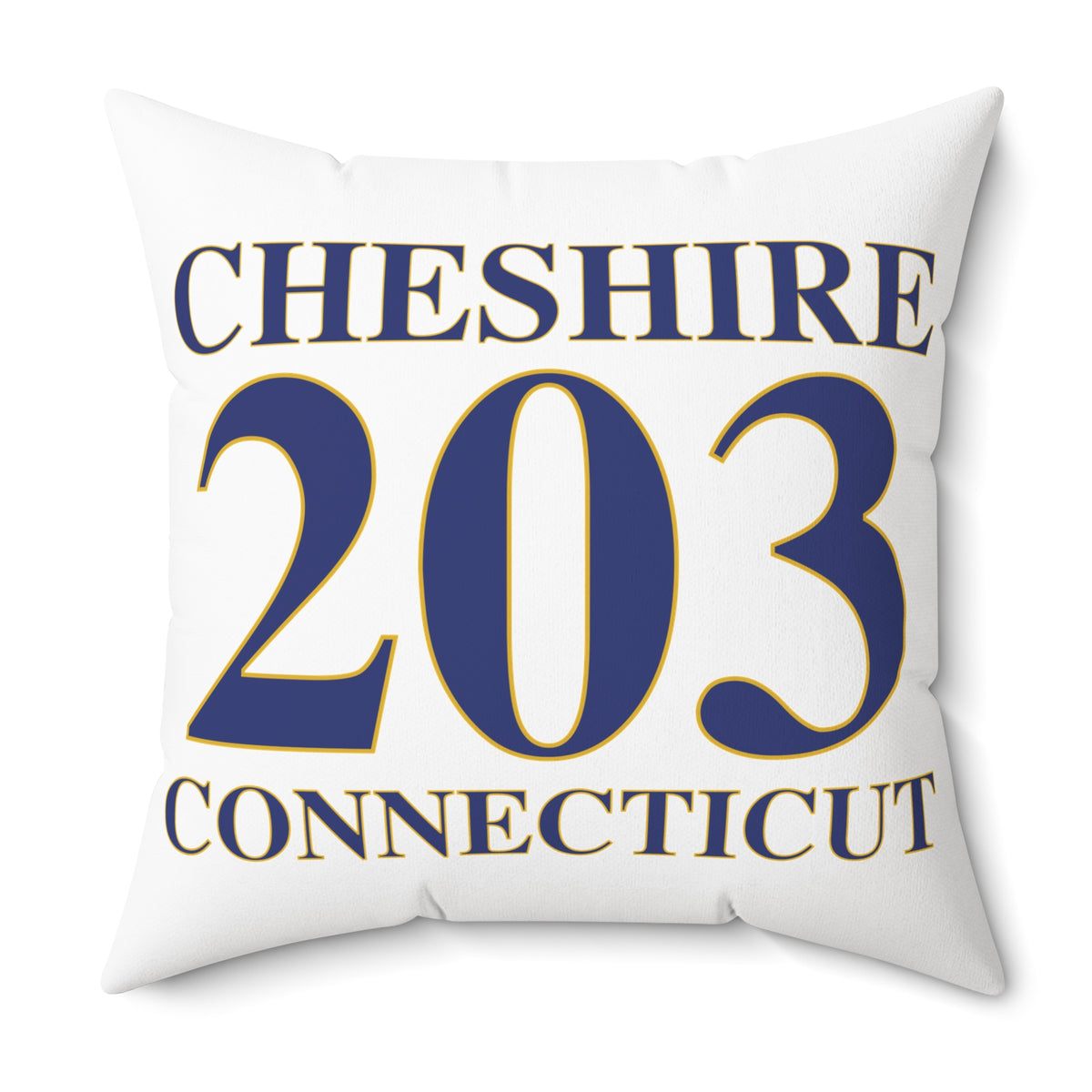 Cheshire 203 Connecticut Polyester Square Pillow