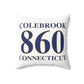 Colebrook 860 Connecticut Polyester Square Pillow