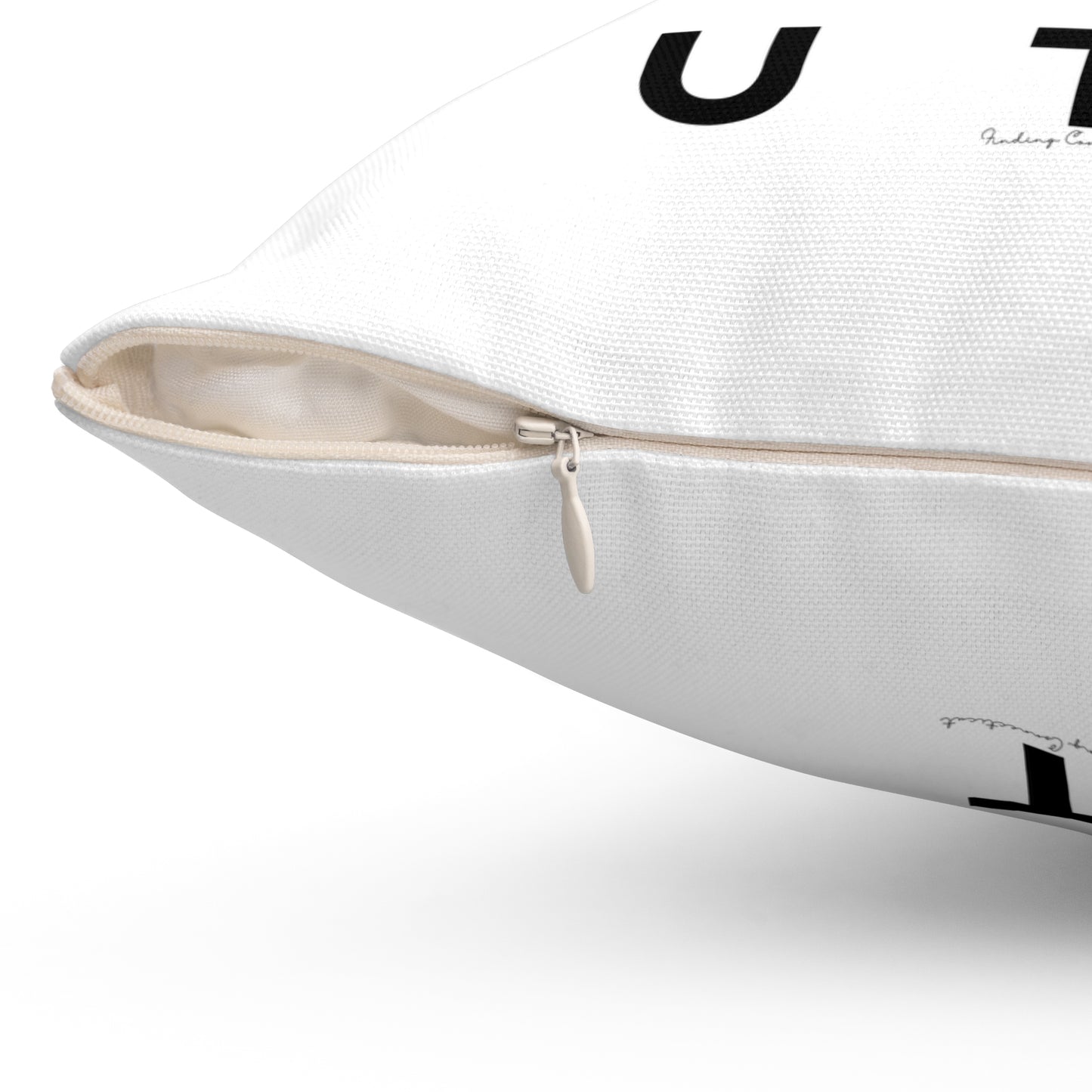 Connecticut Vision Spun Polyester Square Pillow