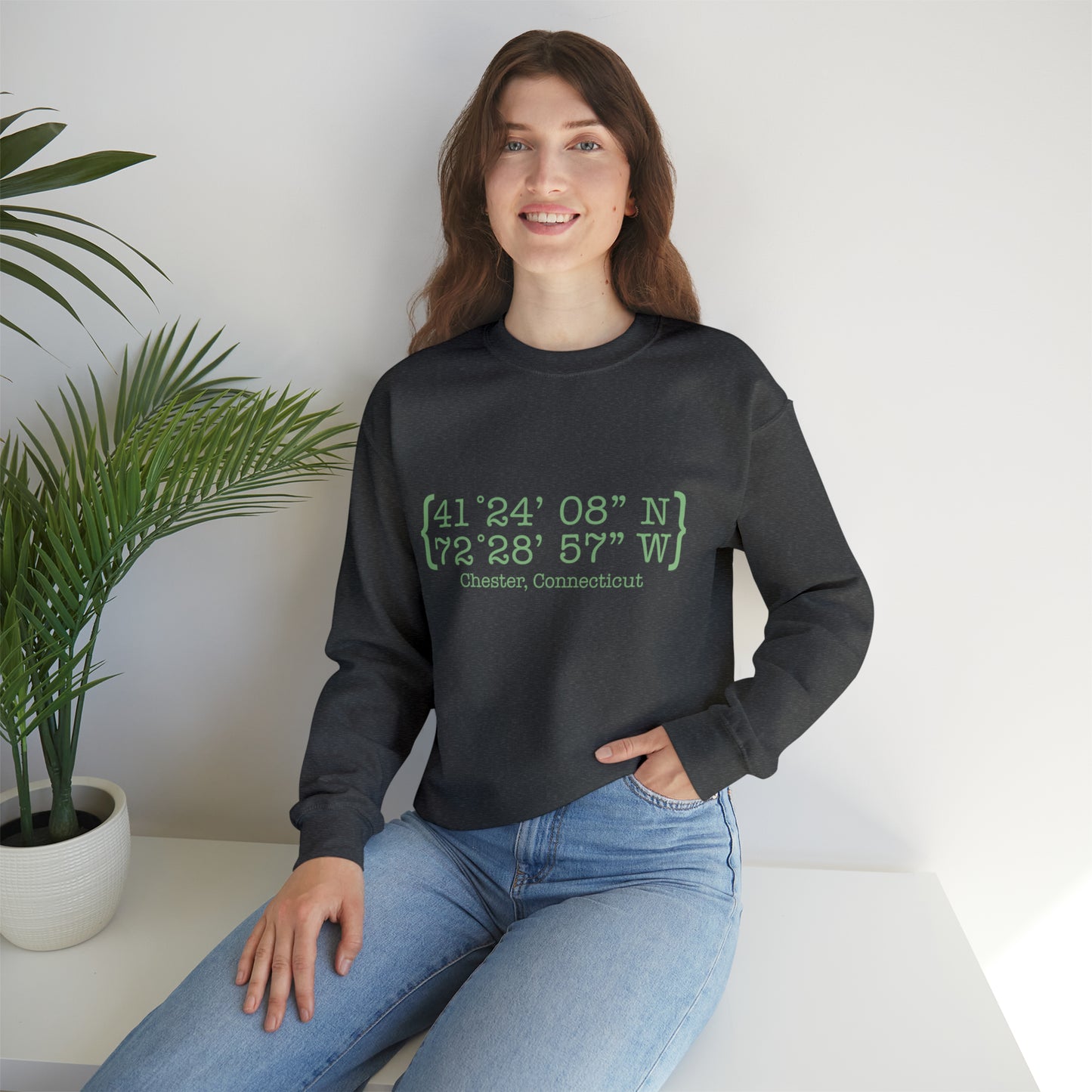 Chester Coordinates Unisex Heavy Blend™ Crewneck Sweatshirt (green)