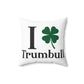 I Clover Trumbull Spun Polyester Square Pillow