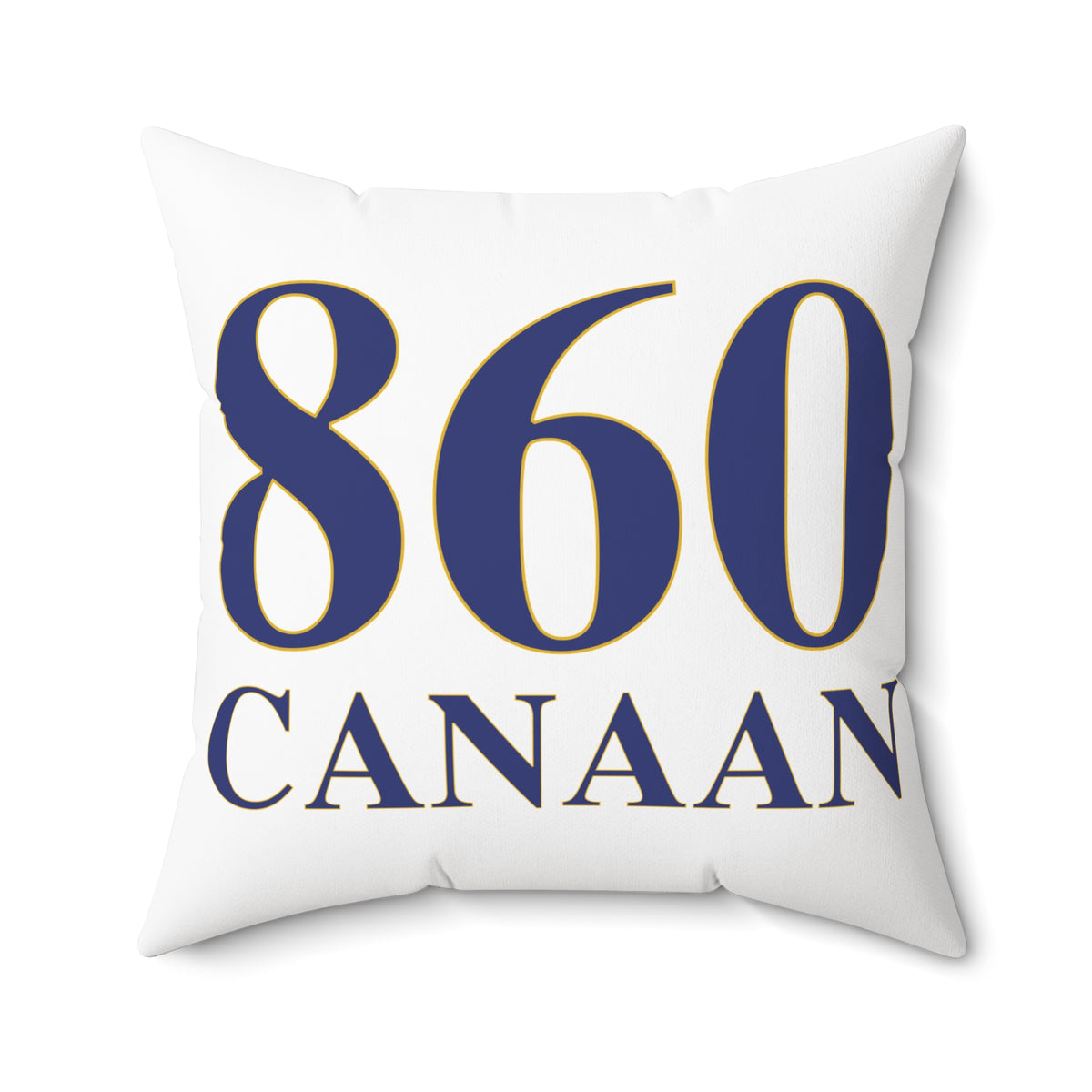 860 Canaan Polyester Square Pillow