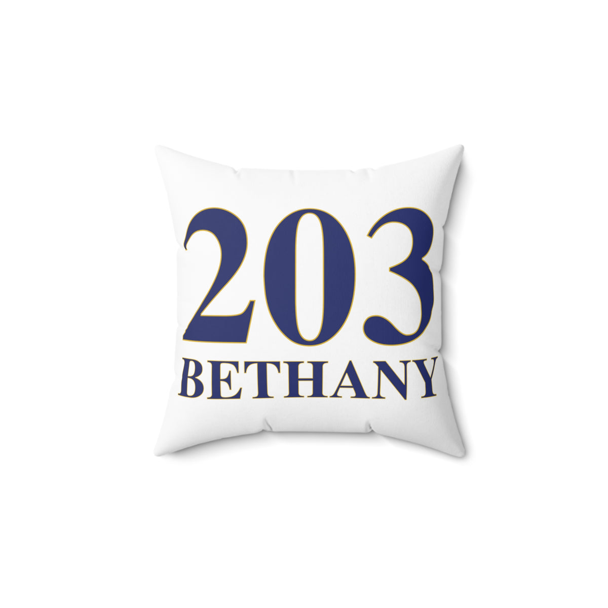 203 Bethany Polyester Square Pillow