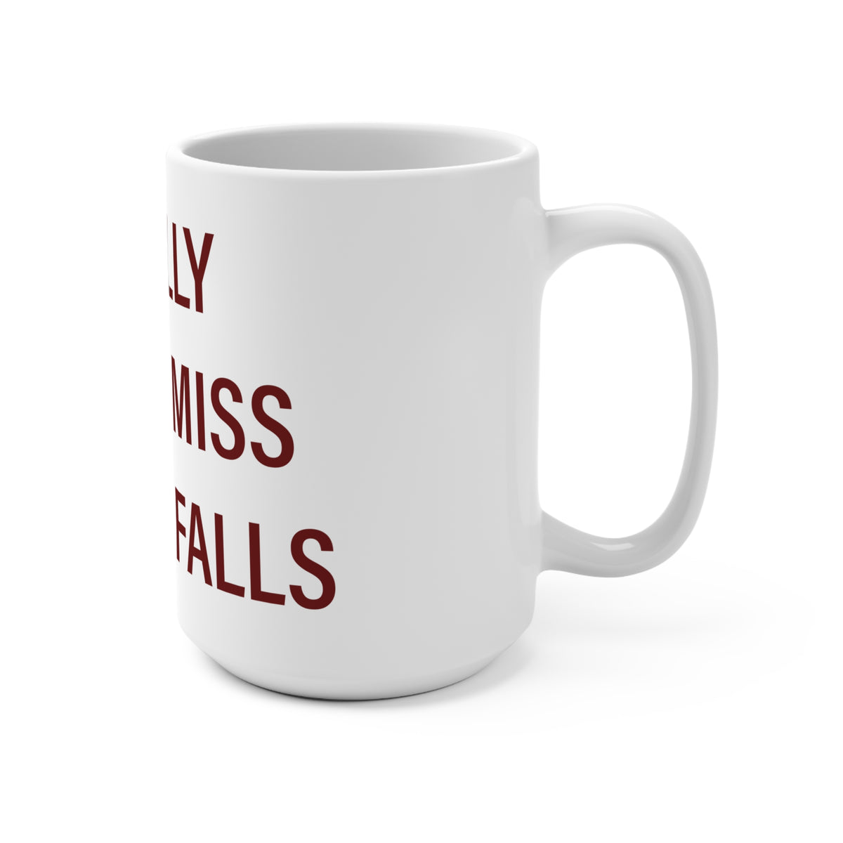 I Really Really Miss Beacon Falls Mug 15oz