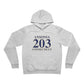 Ansonia 203 Connecticut Unisex Sponge Fleece Pullover Hoodie
