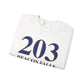 203 Beacon Falls Unisex Heavy Blend™ Crewneck Sweatshirt