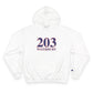 203 Waterbury Red, White & Blue Champion Hoodie