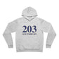 203 Southbury Unisex Sponge Fleece Pullover Hoodie