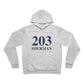 203 Sherman Unisex Sponge Fleece Pullover Hoodie