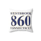 Westbrook 860 Connecticut Spun Polyester Square Pillow