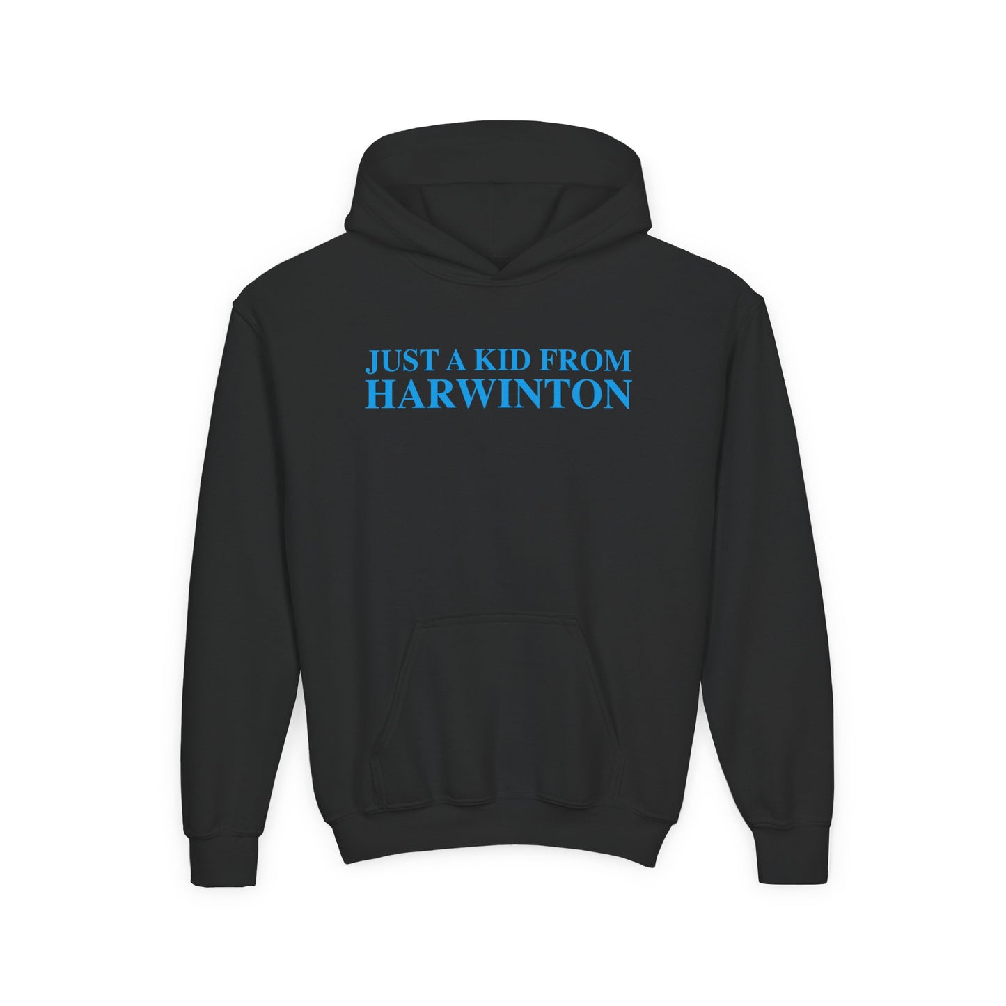 Just a kid from Harwinton Youth Heavy Blend Hooded Sweatshirt