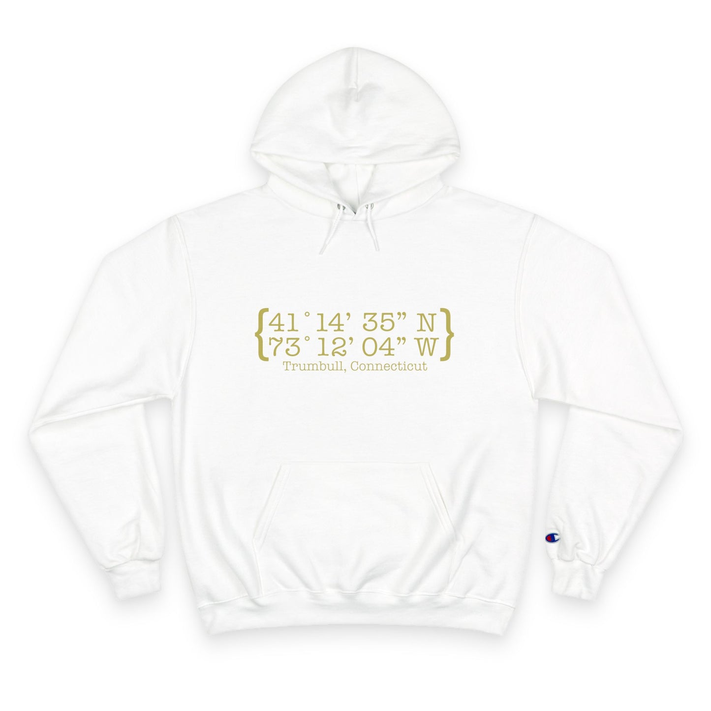 Trumbull Coordinates Champion Hoodie Sweatshirt