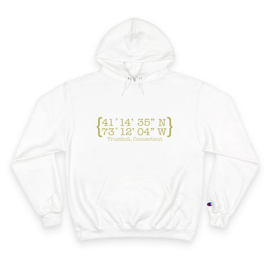 Trumbull Coordinates Champion Hoodie Sweatshirt