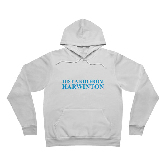Just a kid from Harwinton Unisex Sponge Fleece Pullover Hoodie