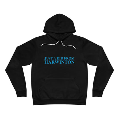 Just a kid from Harwinton Unisex Sponge Fleece Pullover Hoodie