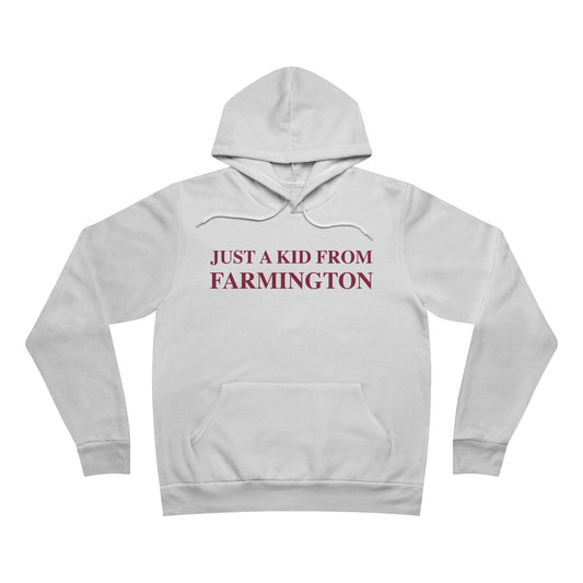 Just a kid from Farmington Unisex Sponge Fleece Pullover Hoodie