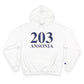 203 Ansonia Champion Hoodie