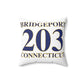 Bridgeport 203 Connecticut Spun Polyester Square Pillow