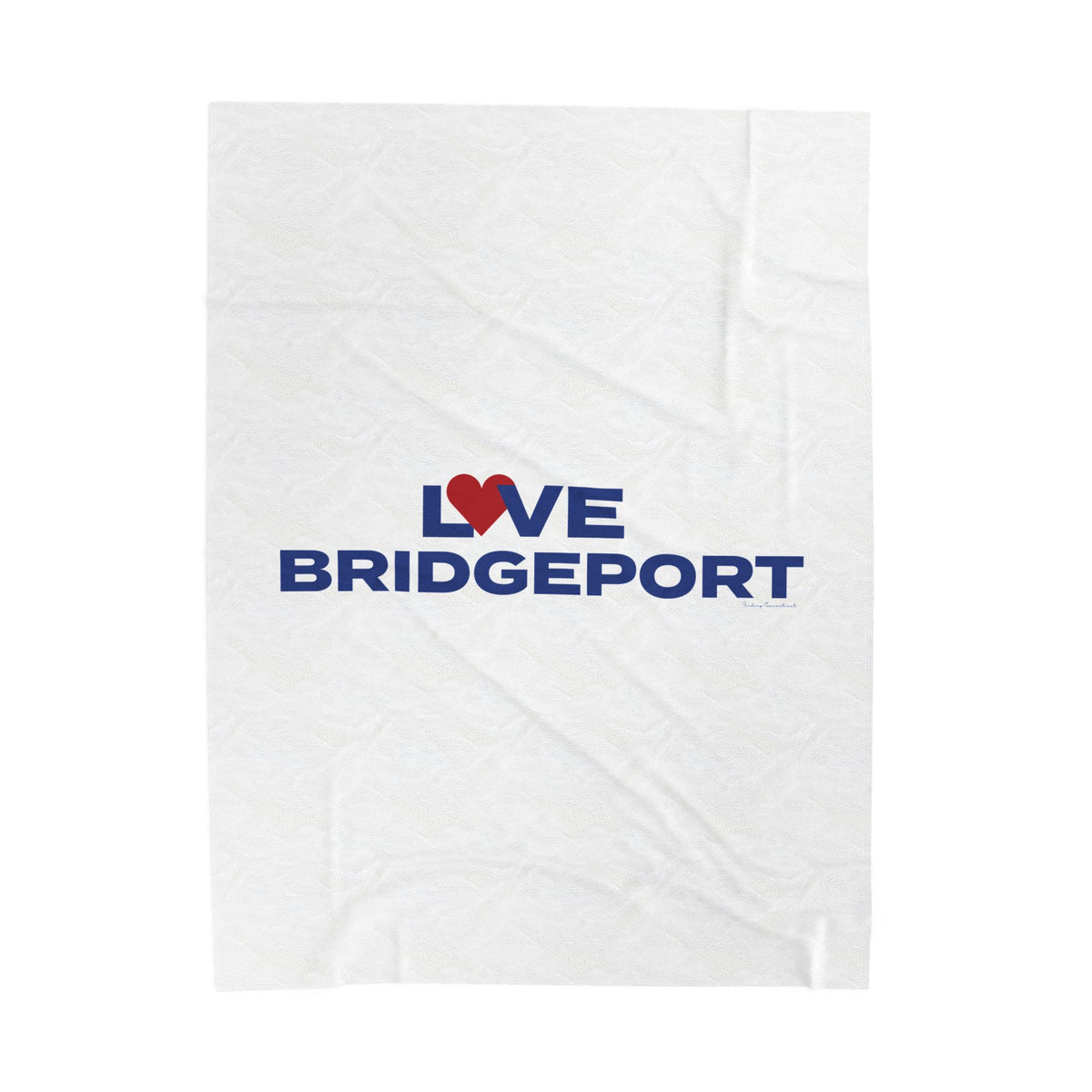 Love Bridgeport Velveteen Plush Blanket
