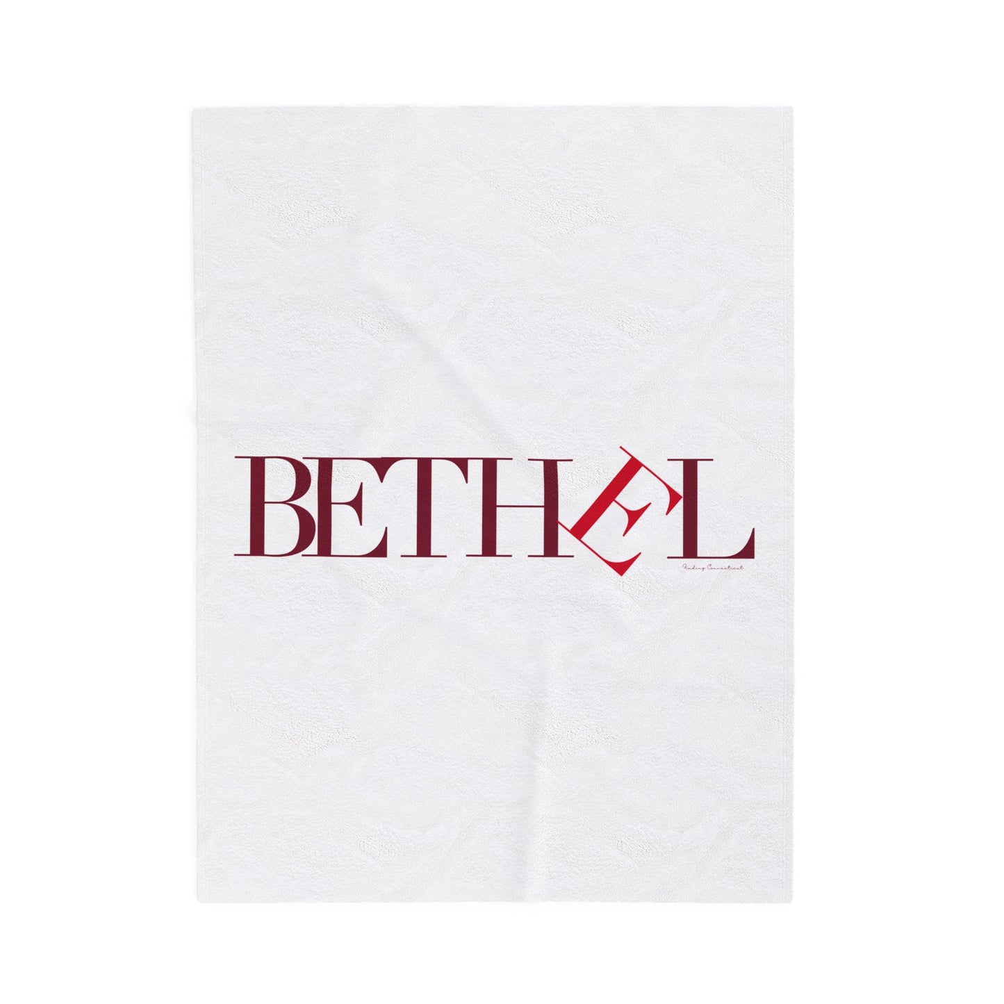 41 Tilt Bethel Velveteen Plush Blanket