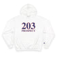 203 Prospect Red White & Blue Champion Hoodie