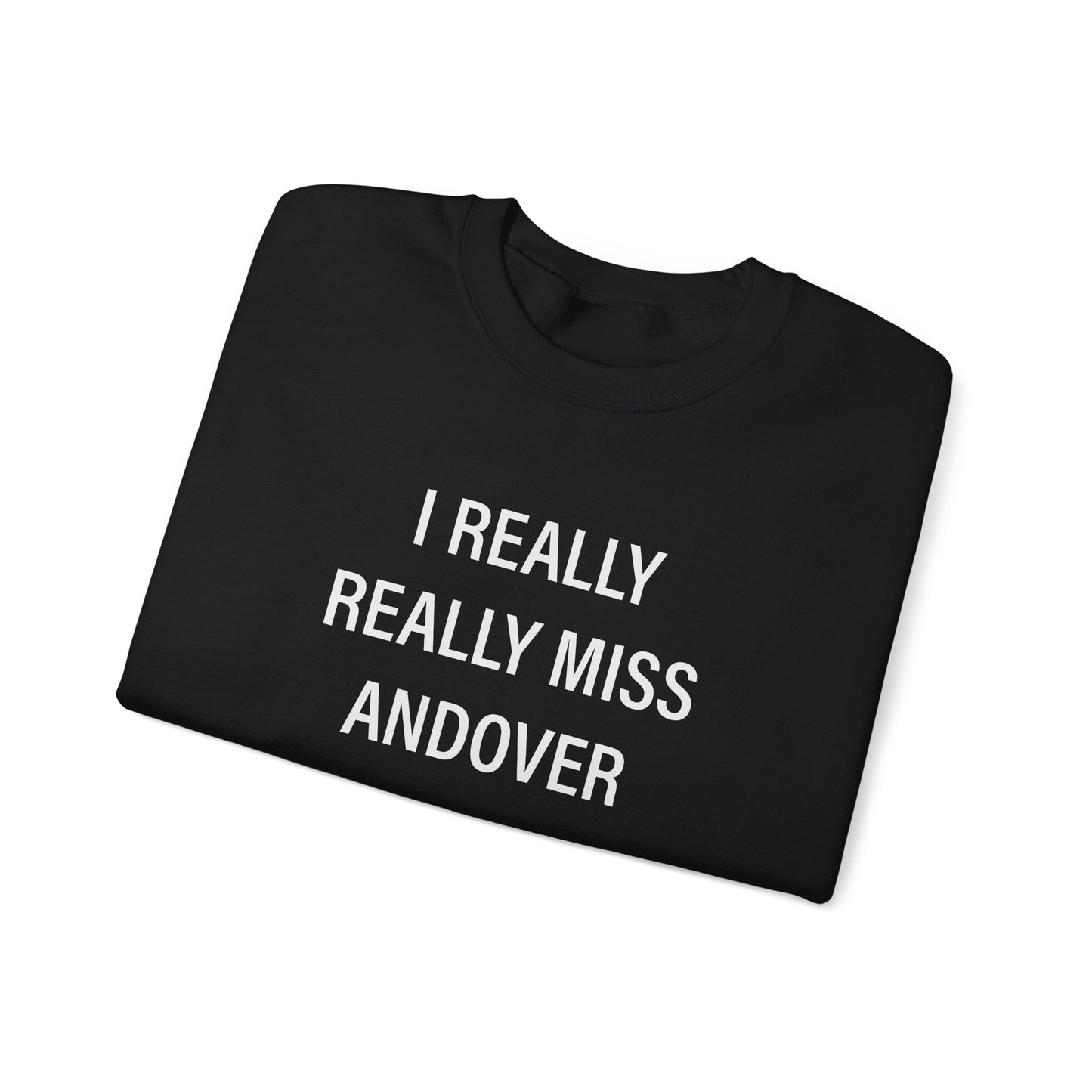 I Really Really Miss Andover Unisex Heavy Blend™ Crewneck Sweatshirt