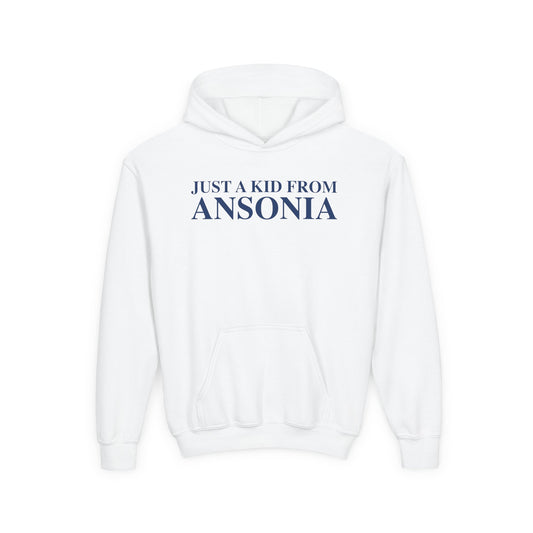 Just a kid from Ansonia Youth Heavy Blend Hooded Sweatshirt